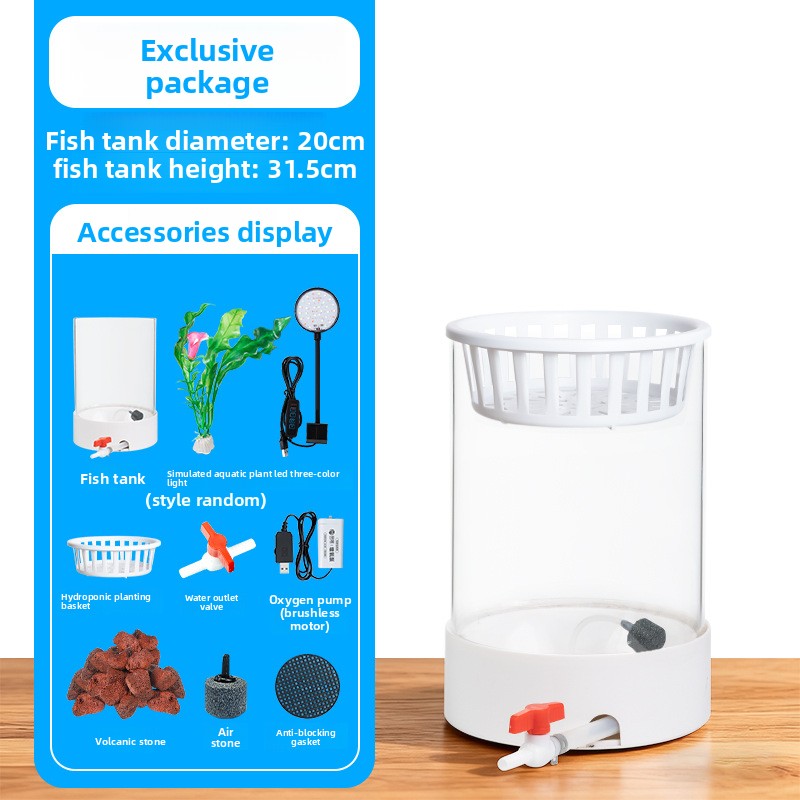 Cylindrical Glass Aquarium Tank with Light and Oxygen System