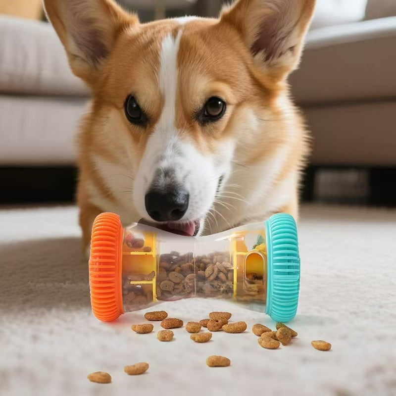Pet treat-dispensing toy