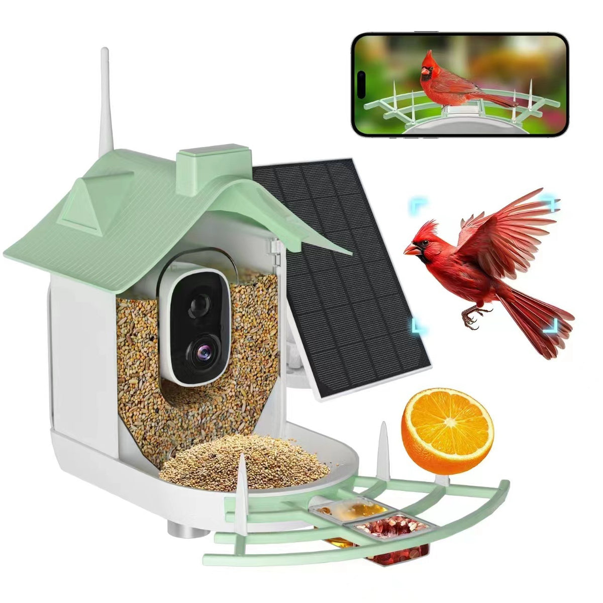 Smart Solar Bird Feeder with Camera