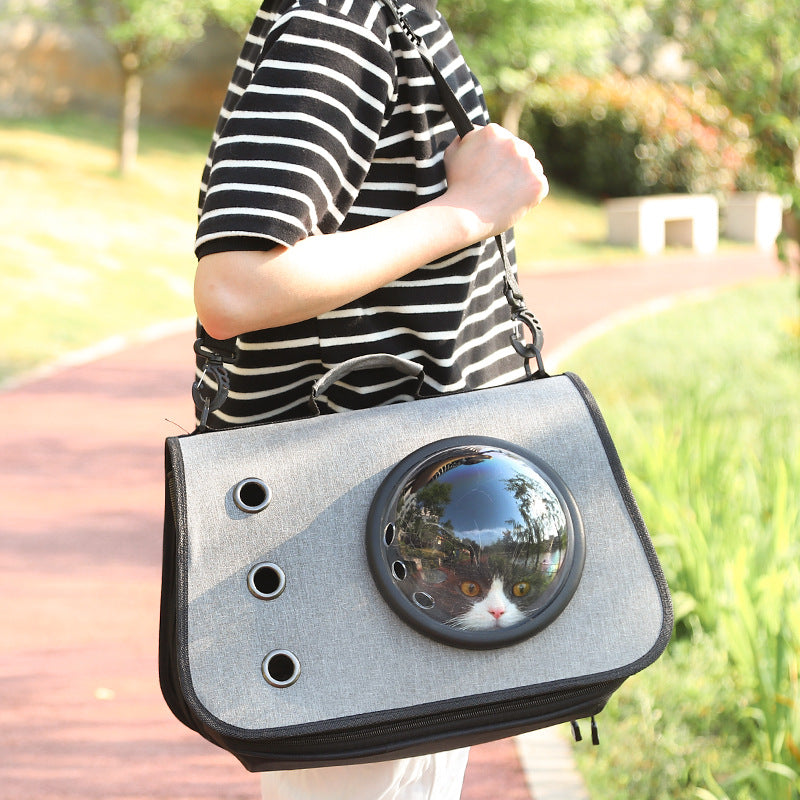 Portable Cat Carrier with Airy Mesh
