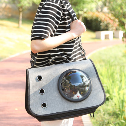 Portable Cat Carrier with Airy Mesh