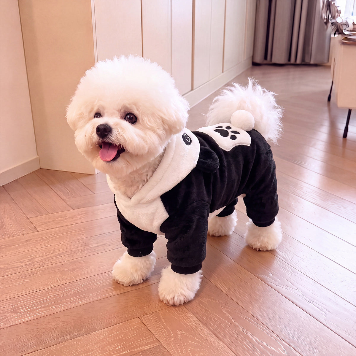 Dog Clothes
