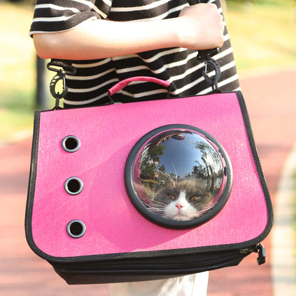 Portable Cat Carrier with Airy Mesh