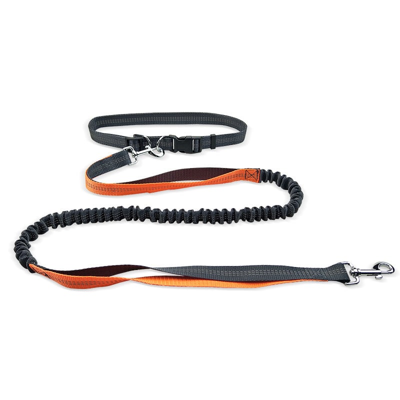 Adjustable Shock-Absorbent Dog Leash Belt