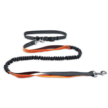 Adjustable Shock-Absorbent Dog Leash Belt