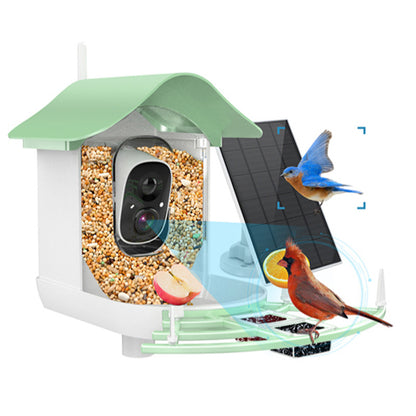 Smart Solar Bird Feeder with Camera