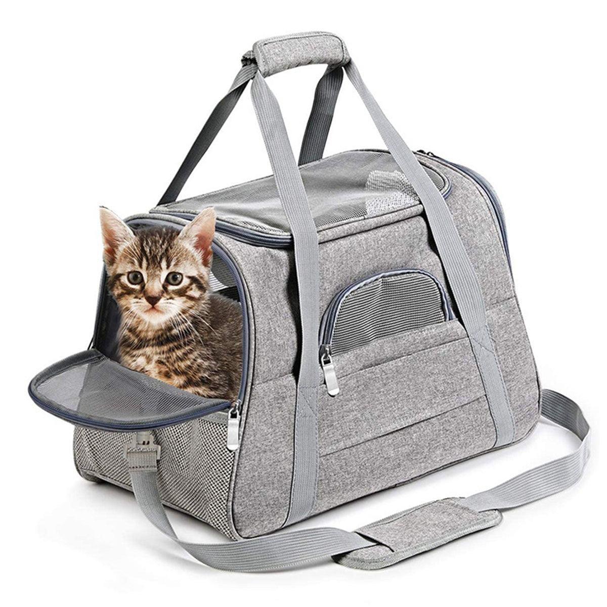 Pet travel handbag for cats