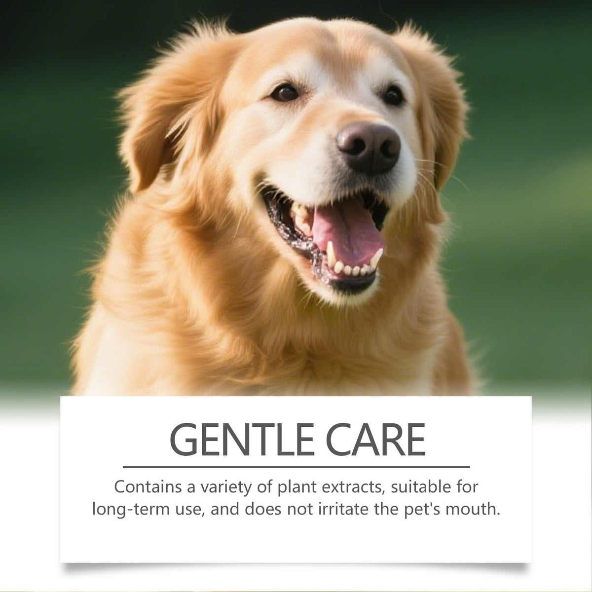 Pet Cat and Dog Cleaning Tooth Powder Gently Cleans Pet Teeth