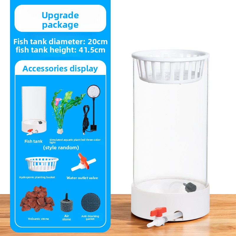 Cylindrical Glass Aquarium Tank with Light and Oxygen System