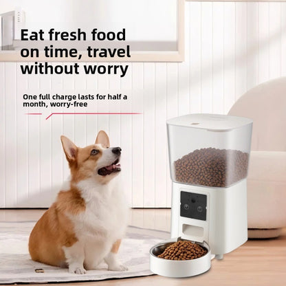 Automatic Pet Feeder with Video Monitoring