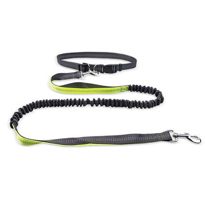 Adjustable Shock-Absorbent Dog Leash Belt