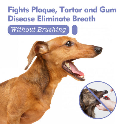 Yegbong cat and dog teeth cleaning spray