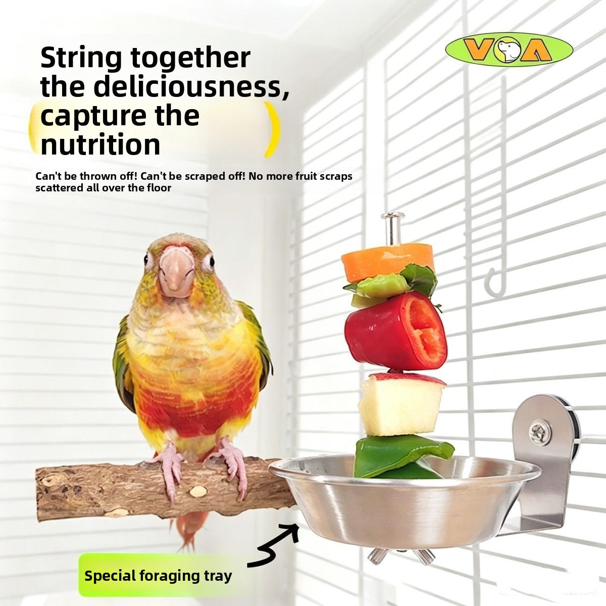 Stainless Steel Bird Feeder Bowl with Fruit Fork and Vegetable Hook