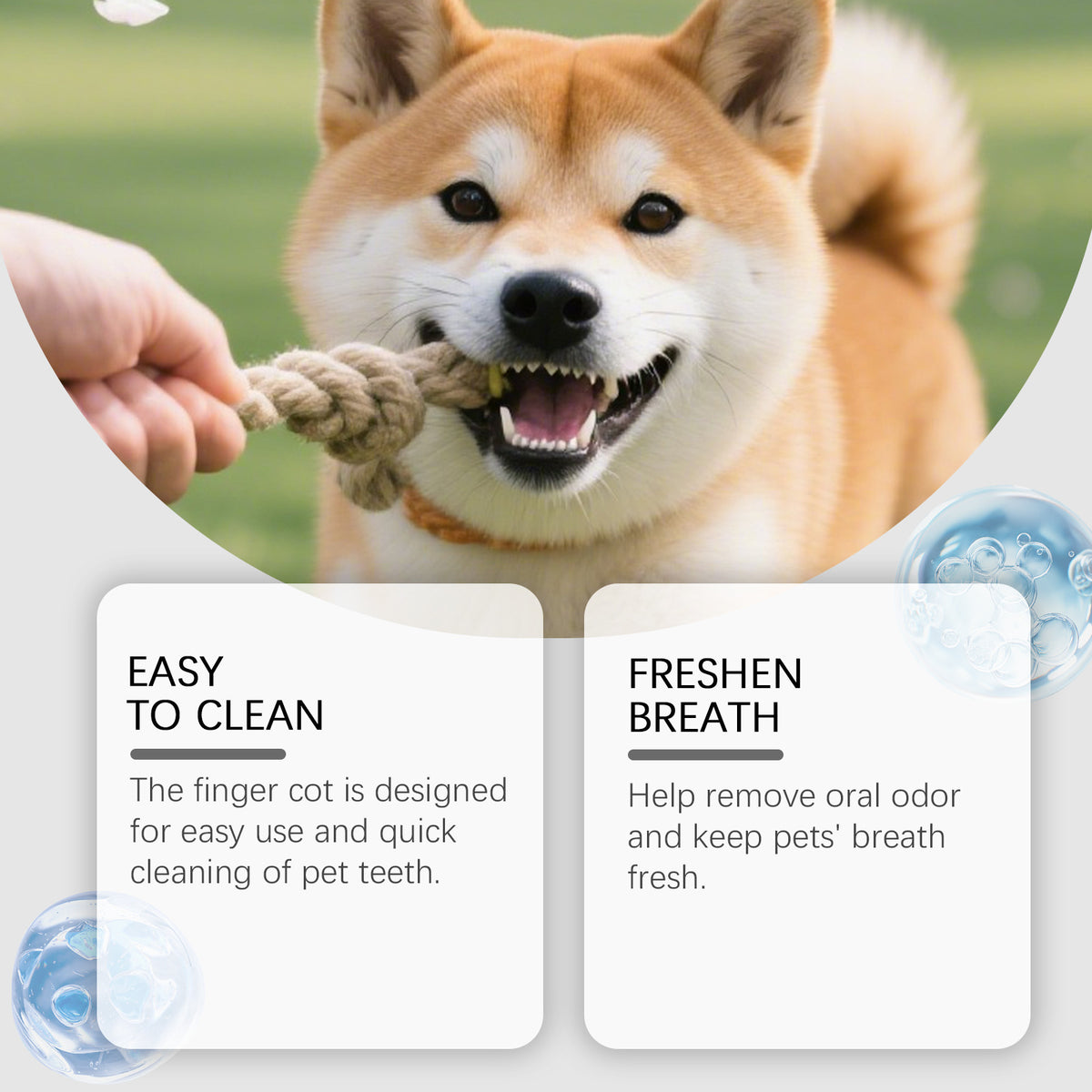 Pet Cat and Dog Cleaning Tooth Powder Gently Cleans Pet Teeth