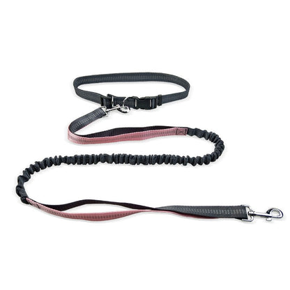 Adjustable Shock-Absorbent Dog Leash Belt