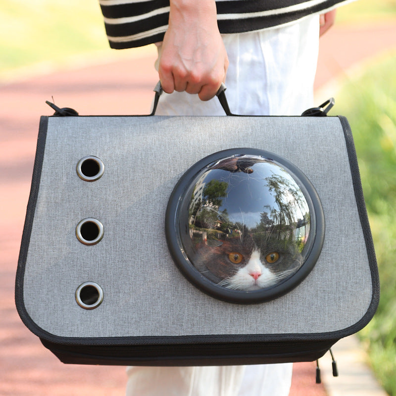 Portable Cat Carrier with Airy Mesh