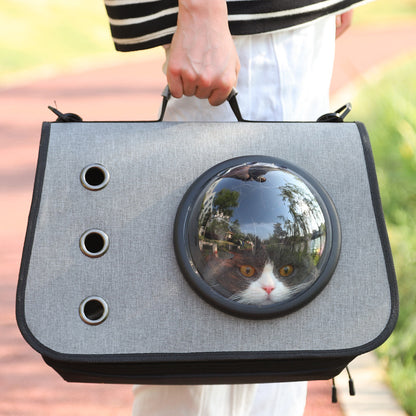 Portable Cat Carrier with Airy Mesh