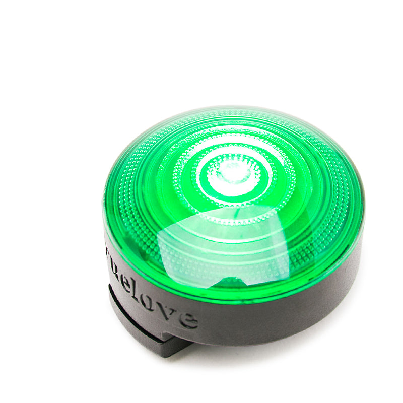 Nightglow LED Dog Collar