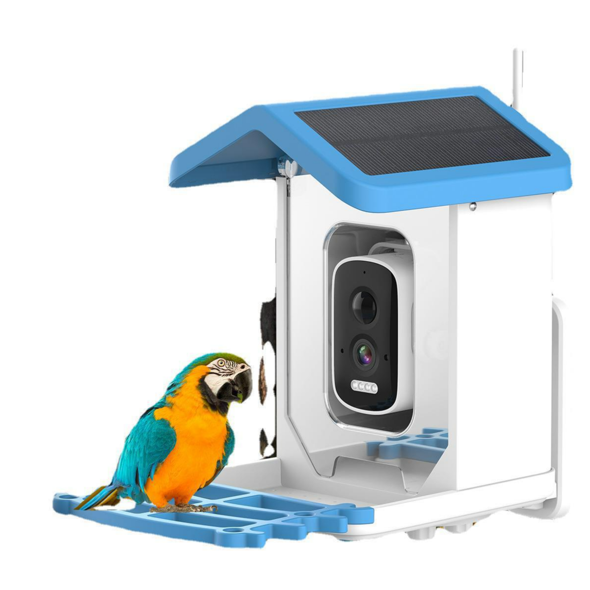 Smart Solar Bird Feeder Camera with AI Recognition