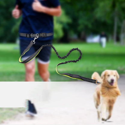 Adjustable Shock-Absorbent Dog Leash Belt