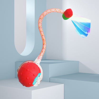Automatic Cat Teaser Ball