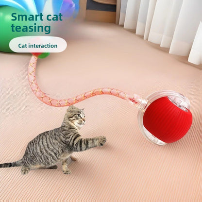 Automatic Cat Teaser Ball
