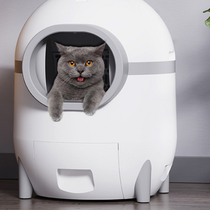 Automatic cat toilet