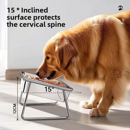 Stainless Steel Elevated Pet Food and Water Bowl