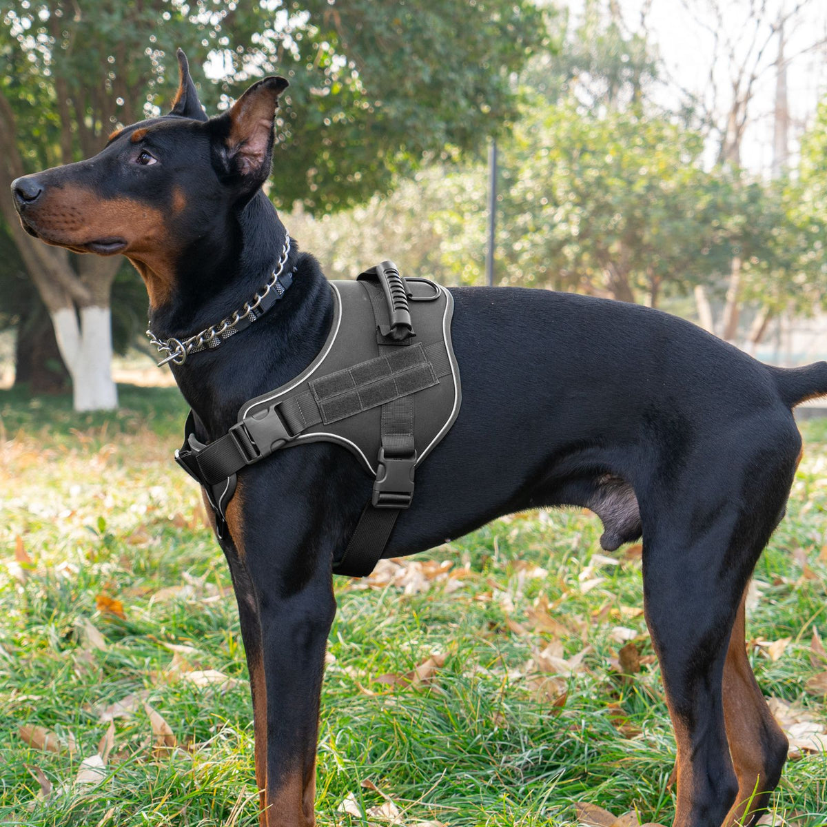 Dog Tactical Vests with Chest Back Belts and Traction Rope Set