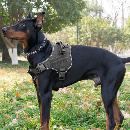 Dog Tactical Vests with Chest Back Belts and Traction Rope Set