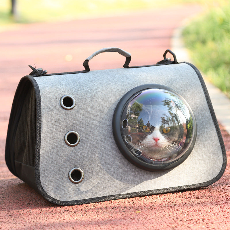 Portable Cat Carrier with Airy Mesh