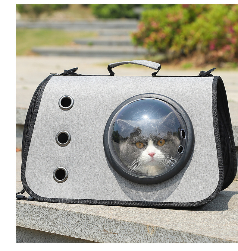 Portable Cat Carrier with Airy Mesh