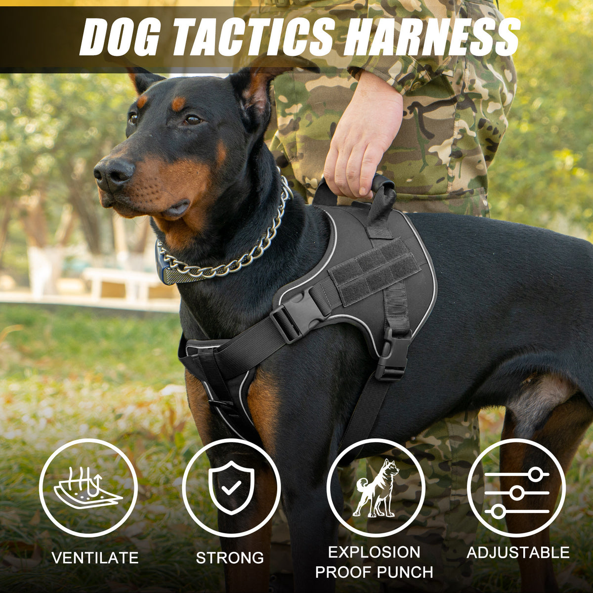 Dog Tactical Vests with Chest Back Belts and Traction Rope Set