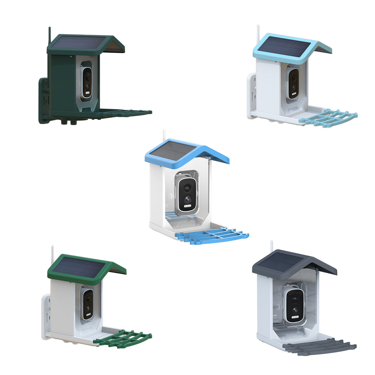 Smart Solar Bird Feeder Camera with AI Recognition