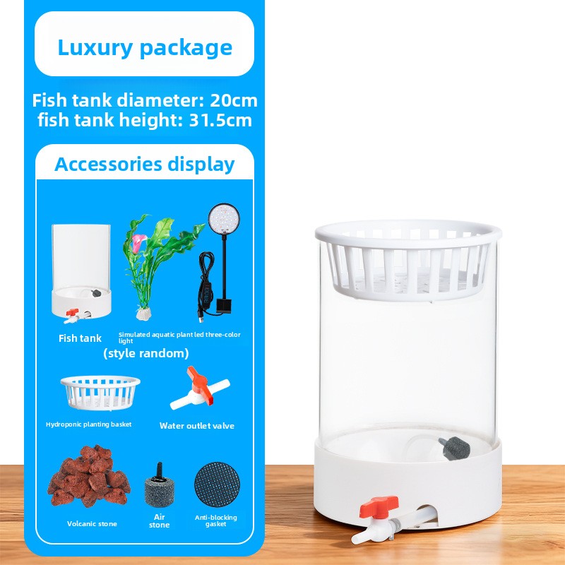 Cylindrical Glass Aquarium Tank with Light and Oxygen System