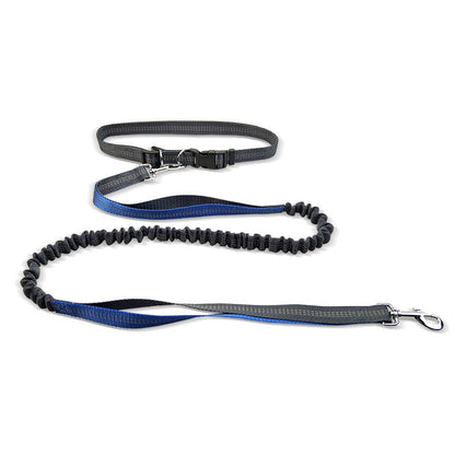 Adjustable Shock-Absorbent Dog Leash Belt