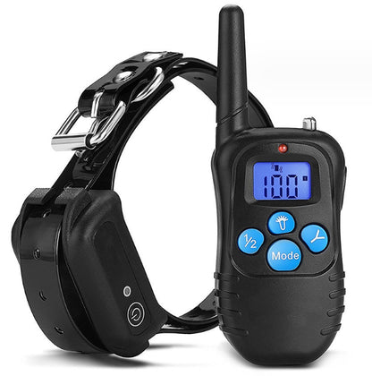 Advanced Canine Training Tools