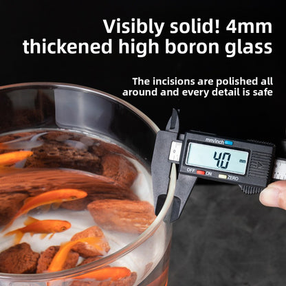 Cylindrical Glass Aquarium Tank with Light and Oxygen System